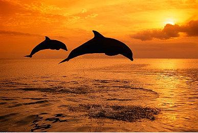 《夏洛克•福尔摩斯：第一章》XboxOne版确定延期